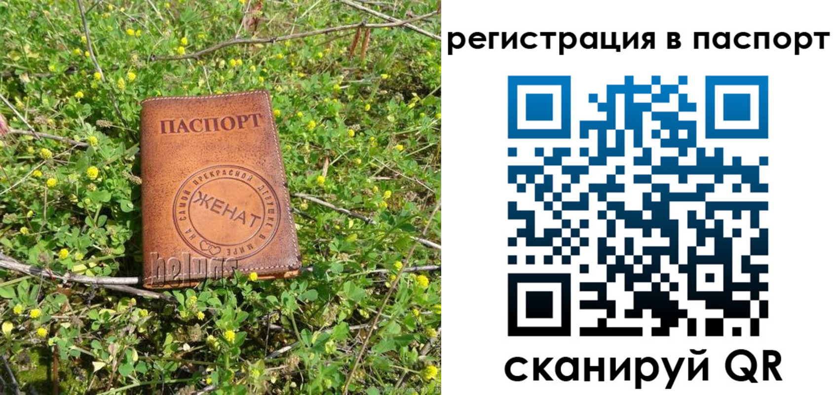 прописка законно в Гусеве